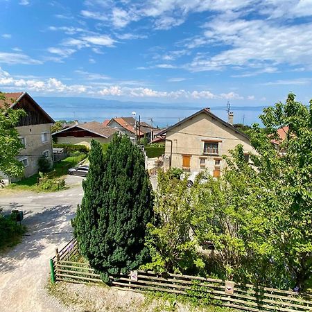 Maison Familiale Vue Lac Avec Jardin - A 10Mn Du Lac Et Stations De Ski Apartment Publier Екстериор снимка